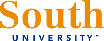 South University Online